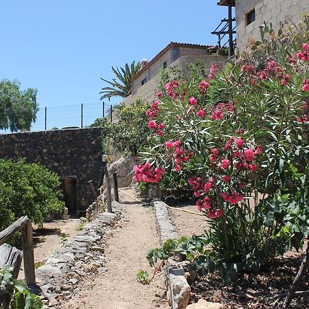Casa Rural Anton Piche With Pool-Adults Only Granadilla De Abona Extérieur photo