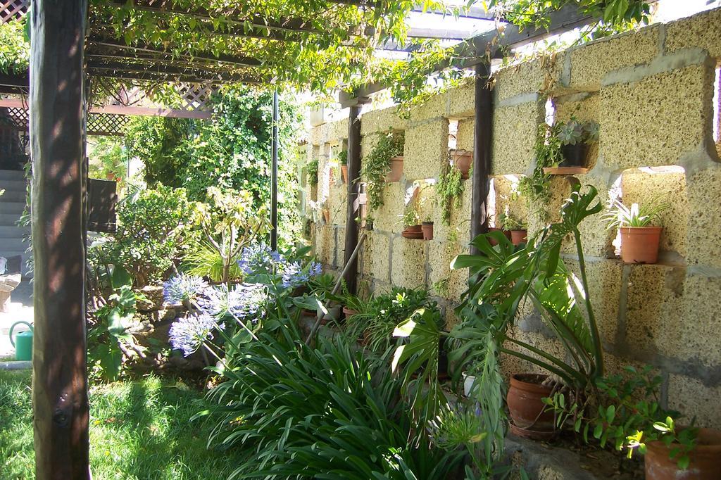 Casa Rural Anton Piche With Pool-Adults Only Granadilla De Abona Extérieur photo