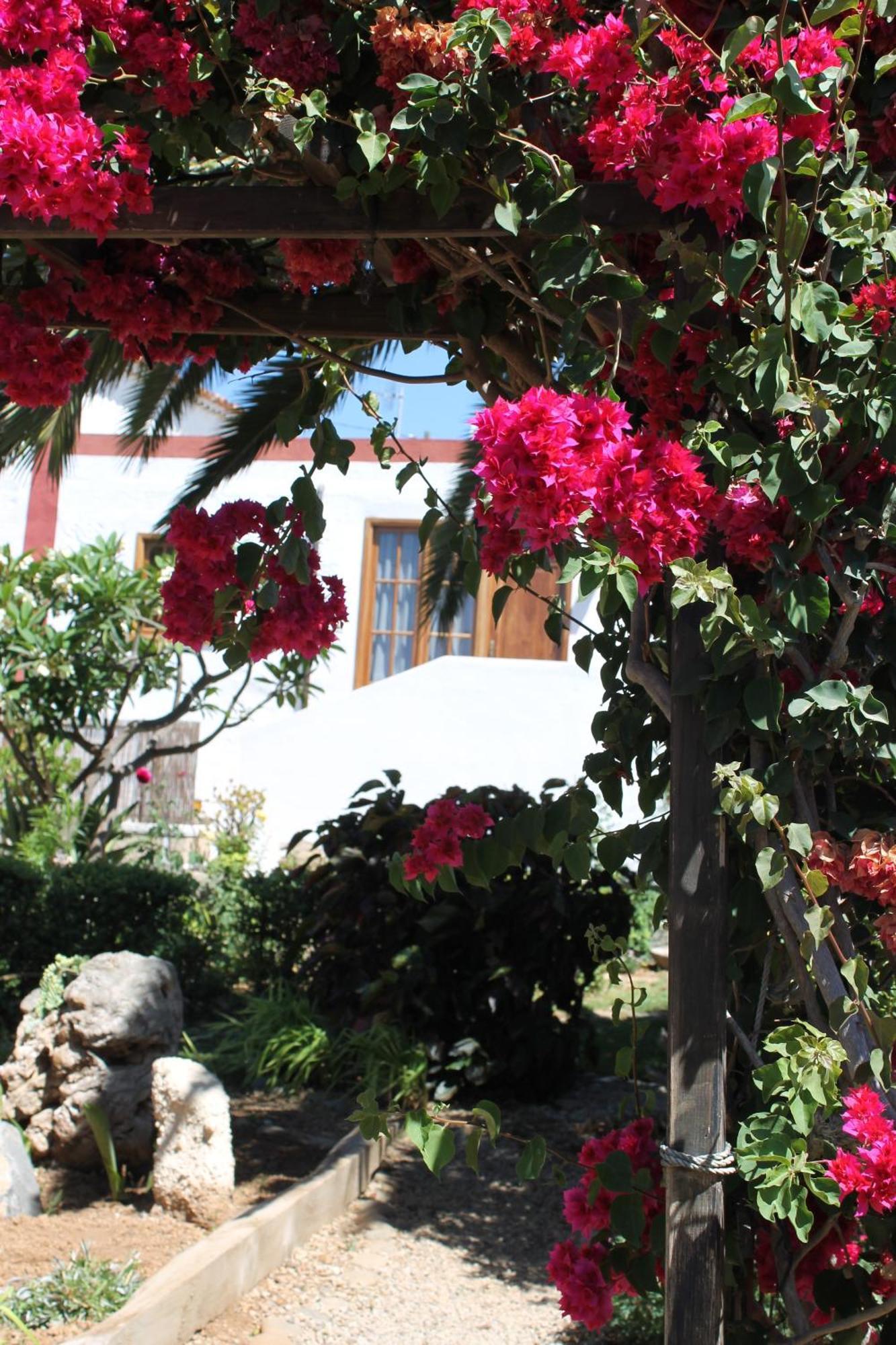 Casa Rural Anton Piche With Pool-Adults Only Granadilla De Abona Extérieur photo