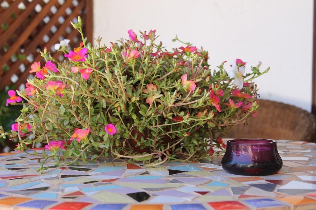 Casa Rural Anton Piche With Pool-Adults Only Granadilla De Abona Extérieur photo