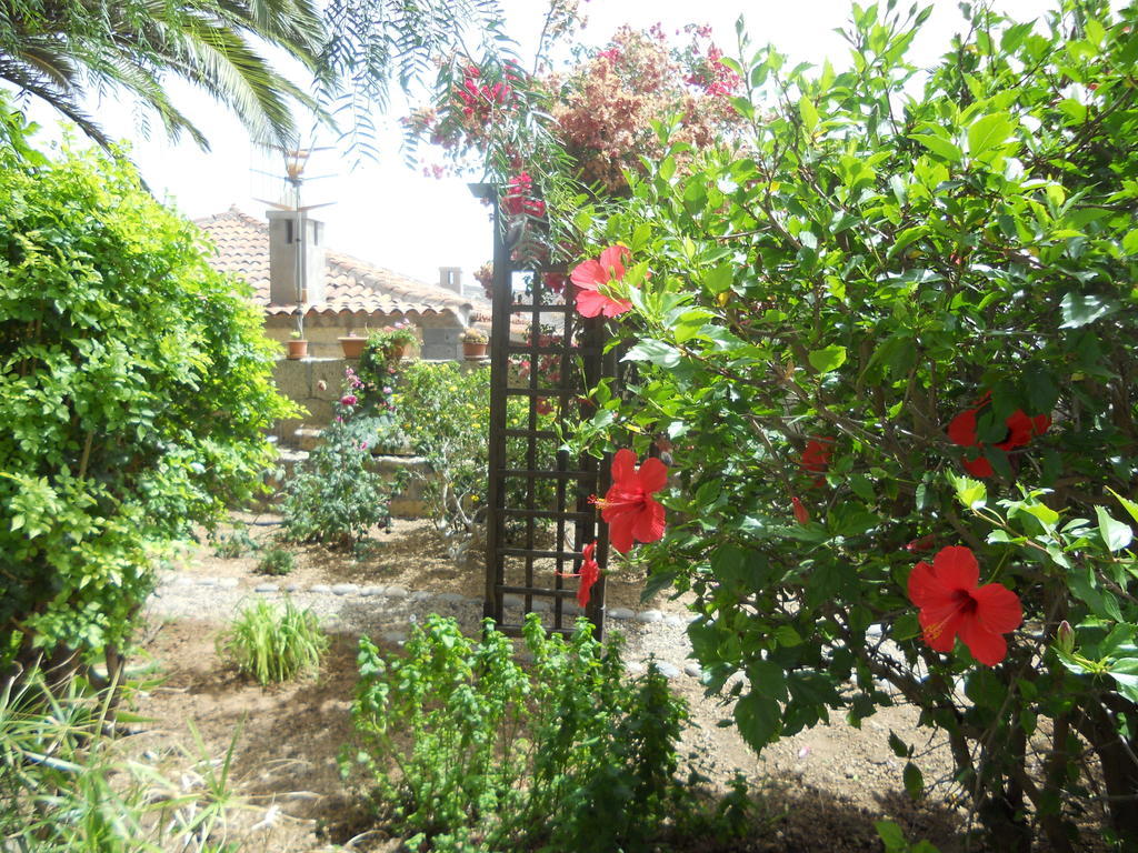 Casa Rural Anton Piche With Pool-Adults Only Granadilla De Abona Extérieur photo