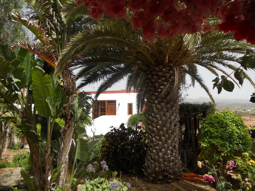 Casa Rural Anton Piche With Pool-Adults Only Granadilla De Abona Extérieur photo